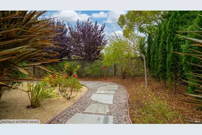 325 Point San Pedro Road, San Rafael, CA 94901 - Photo 72