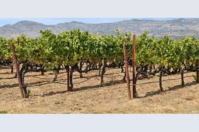 55 Hunter Ranch Road, Napa, CA 94558 - Photo 92