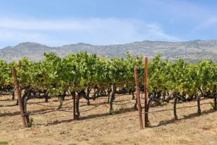 55 Hunter Ranch Rd, Napa, CA 94558 - Photo 92