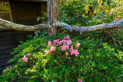 [Address not provided], Sebastopol, CA 95472 - Photo 40
