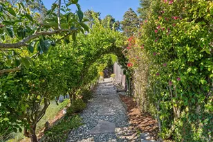 133 Shelley Dr, Mill Valley, CA 94941 - Photo 16