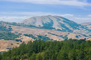6700 Lucas Valley Rd, Nicasio, CA 94946 - Photo 94