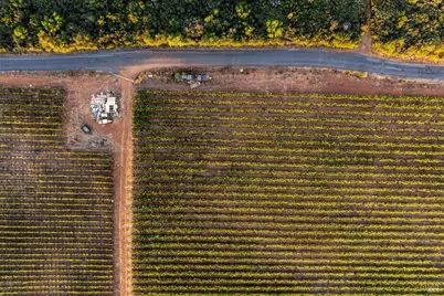 3585 Soda Canyon Road, Napa, CA 94558 - Photo 14