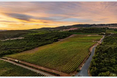3585 Soda Canyon Road, Napa, CA 94558 - Photo 10