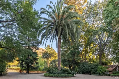 3242 Silverado Trail, Saint Helena, CA 94574 - Photo 6