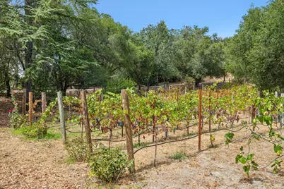 1811 Katie Lane, Sonoma, CA 95476 - Photo 72