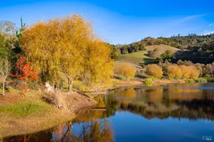 970 Conn Valley Rd, Saint Helena, CA 94574 - Photo 42