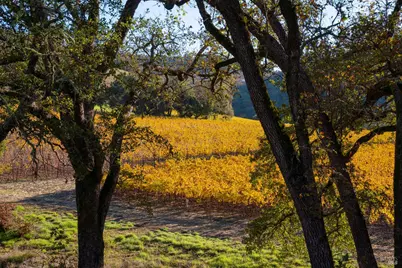 970 Conn Valley Road, Saint Helena, CA 94574 - Photo 34