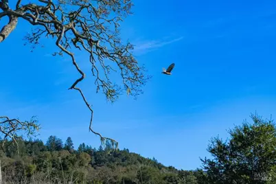 970 Conn Valley Road, Saint Helena, CA 94574 - Photo 26