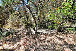 21355 Hyde Rd, Sonoma, CA 95476 - Photo 48