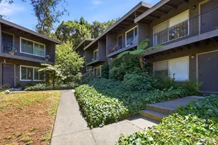 1411 Casa Buena Dr, Corte Madera, CA 94925 - Photo 16