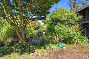 1411 Casa Buena Dr, Corte Madera, CA 94925 - Photo 12