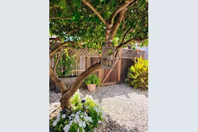 705 Sequoia Street, Windsor, CA 95492 - Photo 52