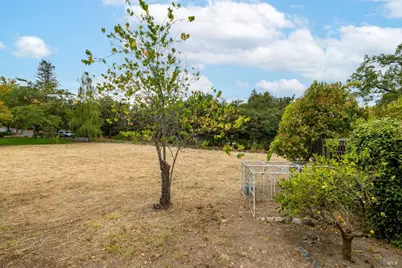 648 W School Street, Cotati, CA 94931 - Photo 34