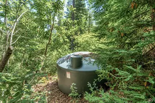 2728 Bohemian Hwy, Occidental, CA 95465 - Photo 40