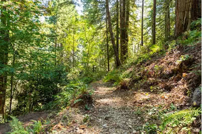 2728 Bohemian Highway, Occidental, CA 95465 - Photo 42
