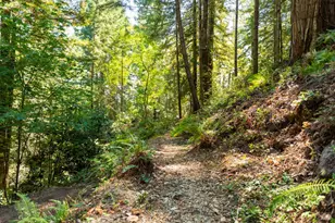 2728 Bohemian Hwy, Occidental, CA 95465 - Photo 42