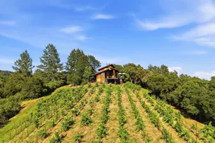 1750 Lytton Springs Rd, Healdsburg, CA 95448 - Photo 80