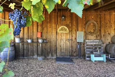 1750 Lytton Springs Road, Healdsburg, CA 95448 - Photo 42