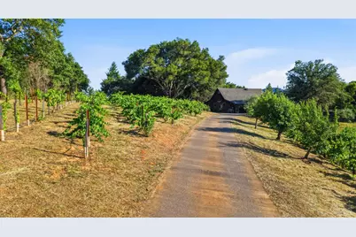 1750 Lytton Springs Road, Healdsburg, CA 95448 - Photo 70