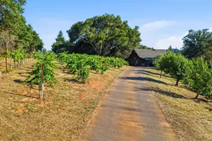 1750 Lytton Springs Rd, Healdsburg, CA 95448 - Photo 70