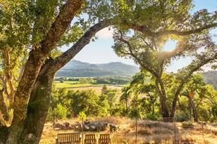 318 Crystal Springs Rd, Saint Helena, CA 94574 - Photo 1