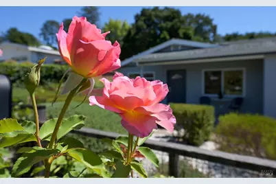 630 Louise Avenue, Novato, CA 94947 - Photo 4