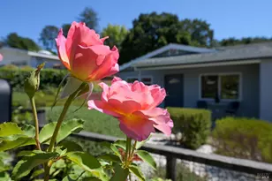 630 Louise Ave, Novato, CA 94947 - Photo 4