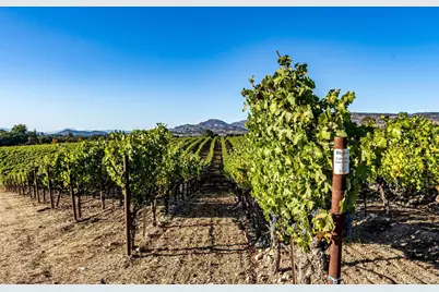 1095 Hardman Avenue, Napa, CA 94558 - Photo 14