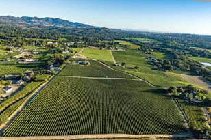 1095 Hardman Ave, Napa, CA 94558 - Photo 1