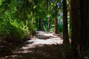 40440 Garcia River Rd, Point Arena, CA 95468 - Photo 46