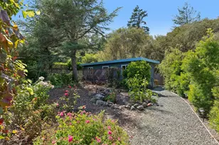 410 Maple St, Mill Valley, CA 94941 - Photo 62