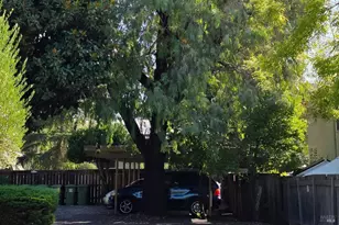 6778 Yount St, Yountville, CA 94599 - Photo 8
