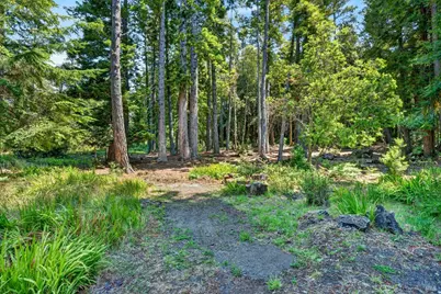 16901 Boice Lane, Fort Bragg, CA 95437 - Photo 30