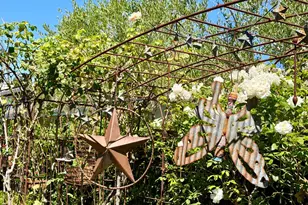 58 Skipping Rock Way, Napa, CA 94558 - Photo 54