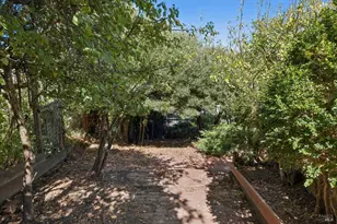 134 Filbert Ave, Sausalito, CA 94965 - Photo 48
