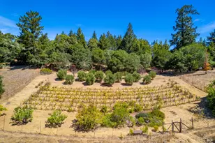 11901 Clow Ridge Rd, Philo, CA 95466 - Photo 46