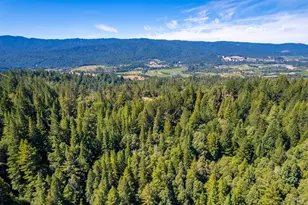 11901 Clow Ridge Rd, Philo, CA 95466 - Photo 40