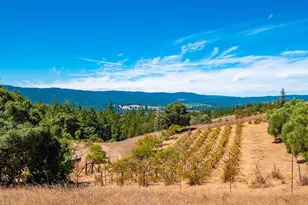 11901 Clow Ridge Rd, Philo, CA 95466 - Photo 6