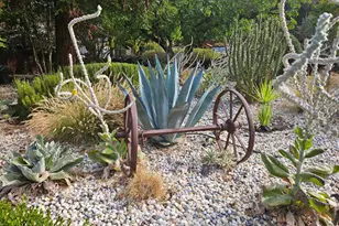 5266 Dry Creek Rd, Napa, CA 94558 - Photo 6
