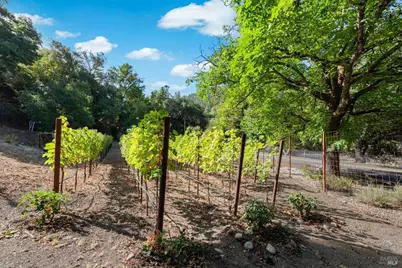 5266 Dry Creek Road, Napa, CA 94558 - Photo 2