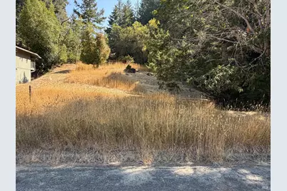 25521 Madrone Way, Willits, CA 95490 - Photo 1