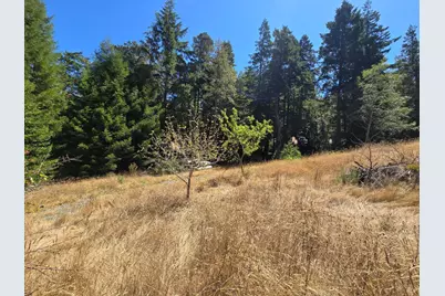 40741 Garcia River Road, Point Arena, CA 95468 - Photo 12