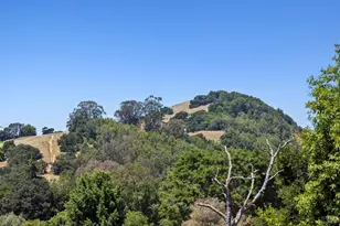 15 Thorsson Ct, Novato, CA 94947 - Photo 64