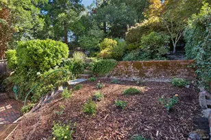 25 Allyn Ave, San Anselmo, CA 94960 - Photo 42