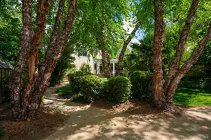 1330 Pine St, Saint Helena, CA 94574 - Photo 46