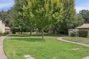13 Oliva Dr, Novato, CA 94947 - Photo 36