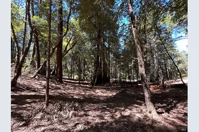 42851 Soda Springs Road, Annapolis, CA 95412 - Photo 14