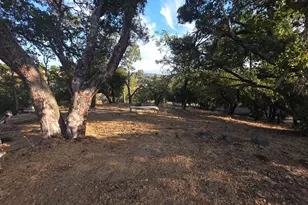 5400 Meadow Vista Trail, Santa Rosa, CA 95404 - Photo 10
