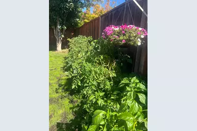 4450 Dumas Street, Napa, CA 94558 - Photo 16